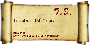 Triebel Dénes névjegykártya